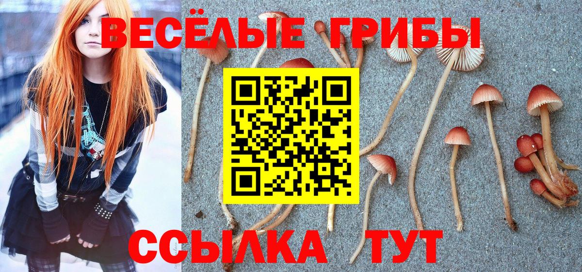 Псилоцибиновые грибы MAGIC MUSHROOMS Анжеро-Судженск